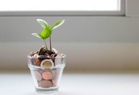 coins and plant in the cup