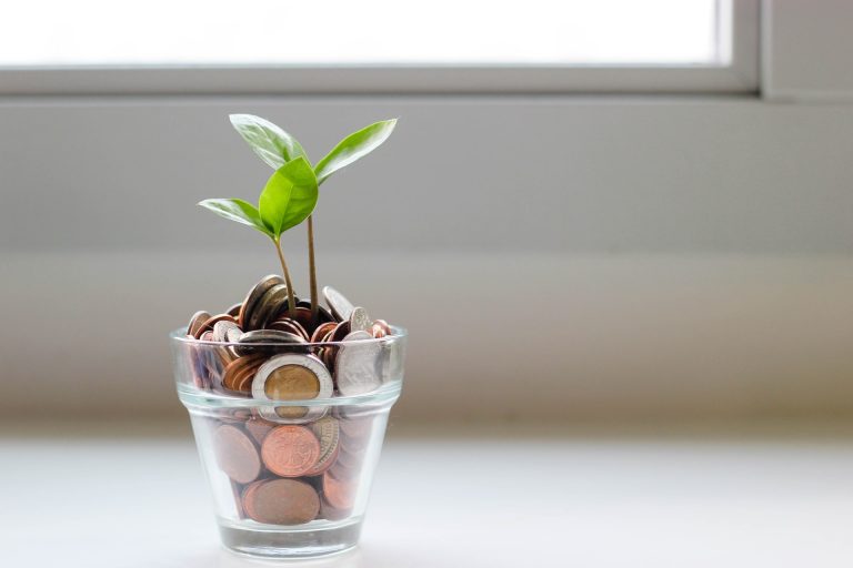 coins and plant in the cup